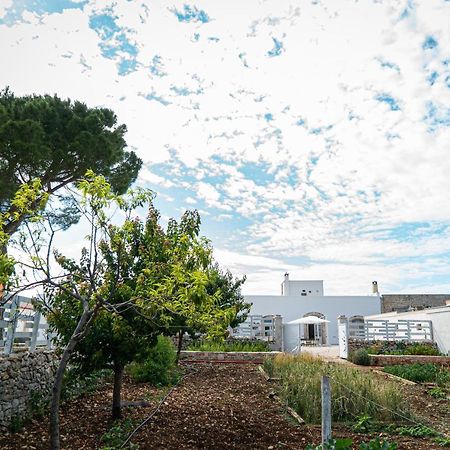 Le Masserie Zucaro Castel Del Monte  Eksteriør bilde