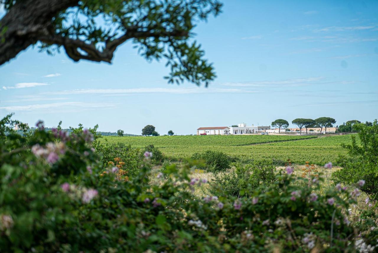 Le Masserie Zucaro Castel Del Monte  Eksteriør bilde